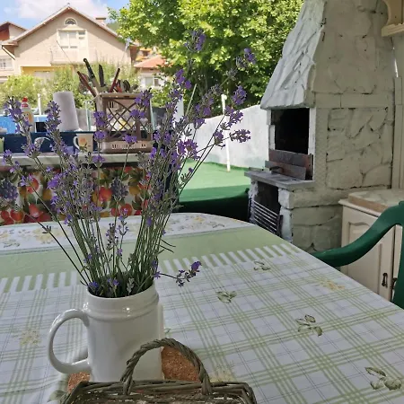 Pensjonat Ena *